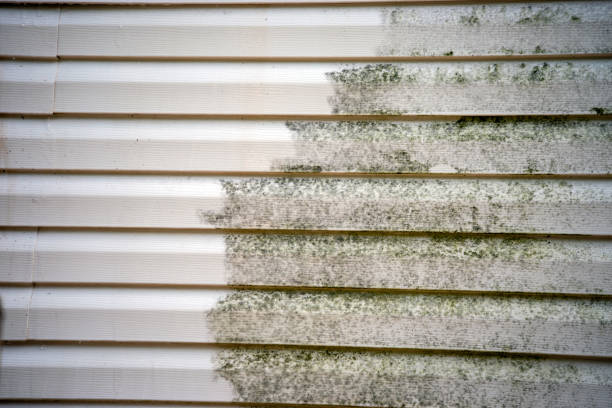 Affordable Siding Repair and Maintenance Services in Evart, MI